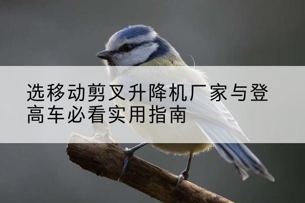 舟曲电动升降机厂家-选移动剪叉升降机厂家与登高车必看实用指南