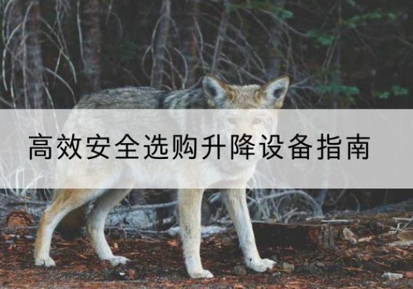 舟曲升降货梯厂家推荐-*安全选购升降设备指南
